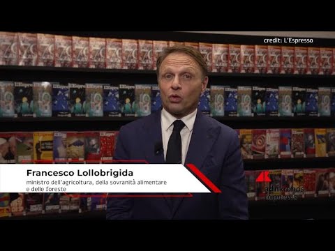 Dazi, Lollobrigida: “No alle tariffe tra democrazie, sì a regole per evitare concorrenza sleale”