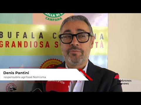 Made in Italy: Mozzarella di Bufala Campana Dop, Pantini (Nomisma) “bontà e tradizione conquistano