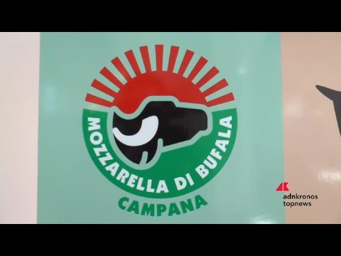 Mozzarella di Bufala Campana Dop, il Made in Italy che unisce tradizione e innovazione