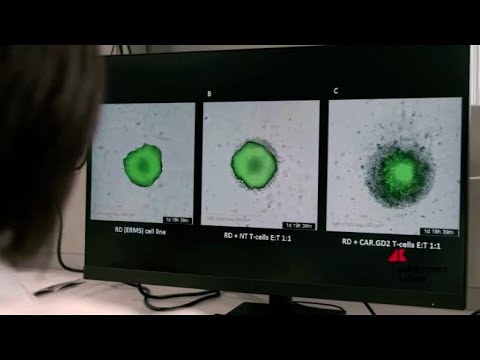 Salute: l’Ospedale Pediatrico Bambino Gesù di Roma inaugura nuovo Laboratorio di Terapia Genica