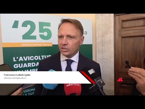 Ue-Mercosur, Lollobrigida: ‘governo fara’ di tutto per proteggere avicoltura, Il 31 incontriamo