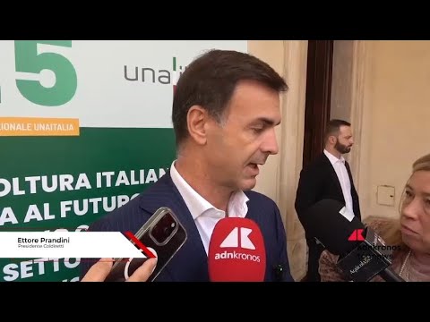 Ue-Mercosur, Prandini: ‘molto preoccupati, non c’e’ clausola salvaguardia automatica’