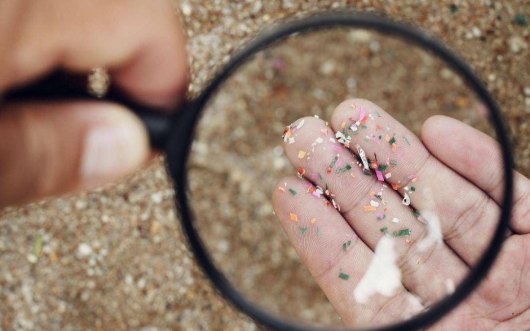 Microplastiche e salute della donna, Fondazione Sigo avvia percorso informativo