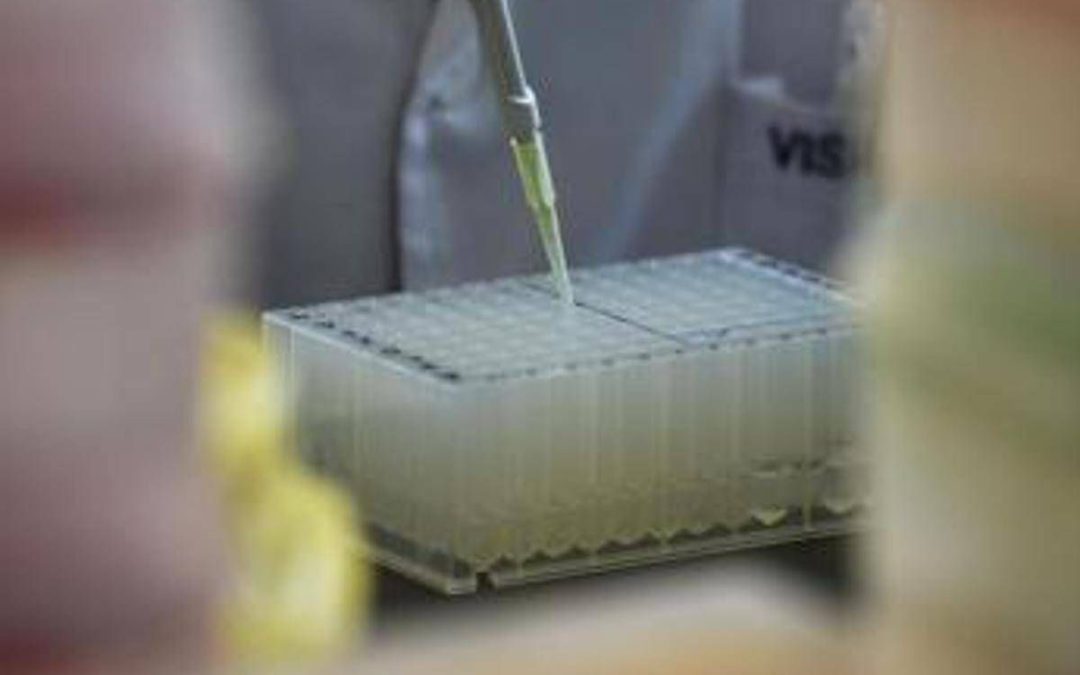 Cresce la moda del testosterone antiaging, funziona o fa male? Cosa dicono gli esperti