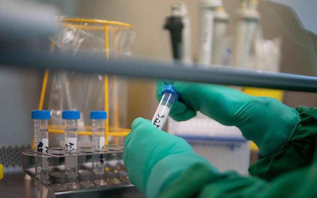 Prostata, svelata la rotta segreta delle infezioni: la scoperta rivoluzionaria