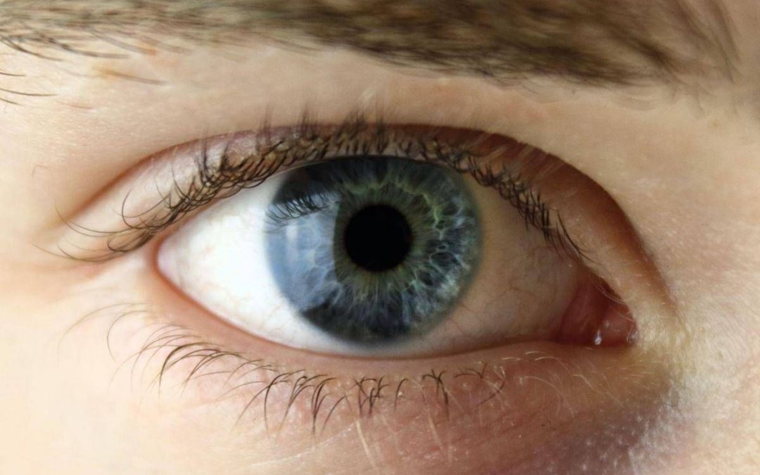 Chirurgia vitroretinica, al Miulli di Bari formazione sulla gestione dei casi complessi