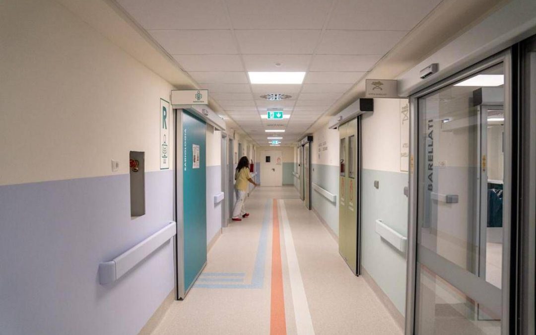 Candida auris, studio svela possibile tallone d’achille del fungo killer che spaventa ospedali