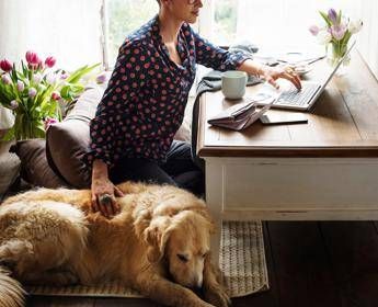 Dalla qualità della vita alla longevità: ecco gli effetti benefici del legame uomo-cane