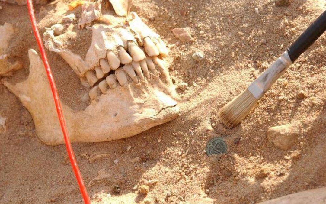 Due batteri sfiancarono l’esercito di Napoleone nella campagna di Russia