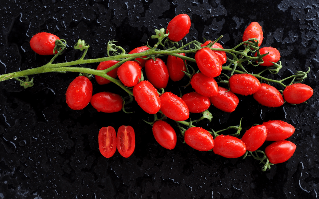 Focolai di salmonella rara in Europa, si rafforza l’ipotesi pomodorini