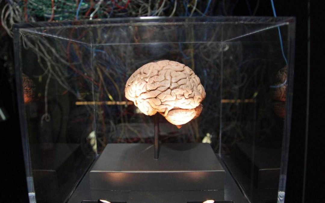 Medicina, neurologi: “L’innovazione può cambiare la storia di molte malattie ma serve equità”