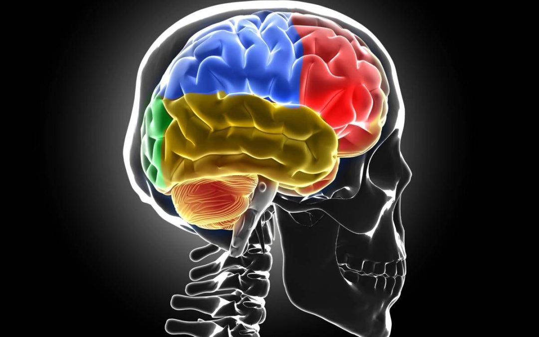 Sistema di ‘lavaggio’ in tilt, ecco cosa succede al cervello senza sonno