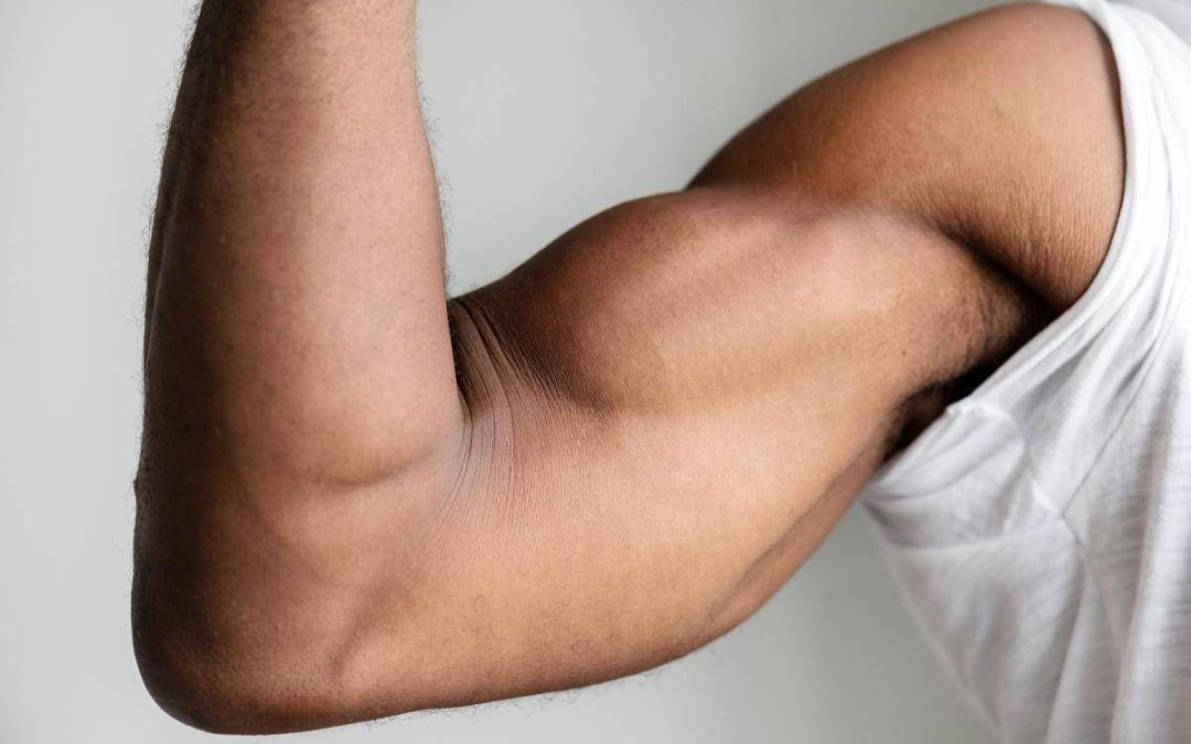 Ecco perché i muscoli invecchiano, lo studio italiano svela il ruolo dei perossisomi