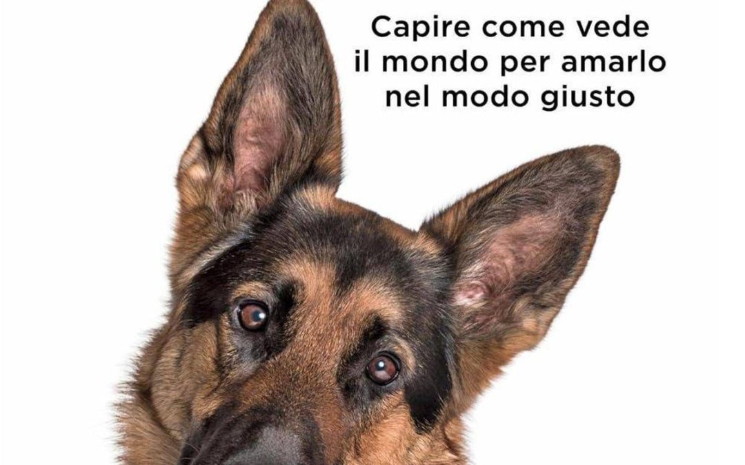 In libreria ‘Con gli occhi del tuo cane’ di Federico Coccìa, “Non si possono clonare, hanno un’anima”