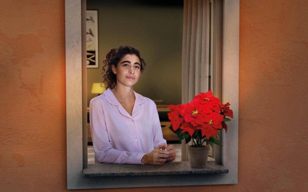 Lotta alle leucemie, tornano le stelle di Natale Ail per la ricerca