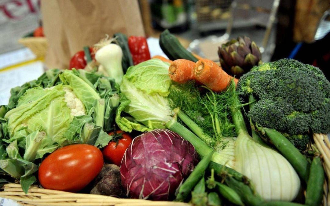 Microbioma alleato contro il mieloma: “Dieta ricca di fibre può frenarlo”