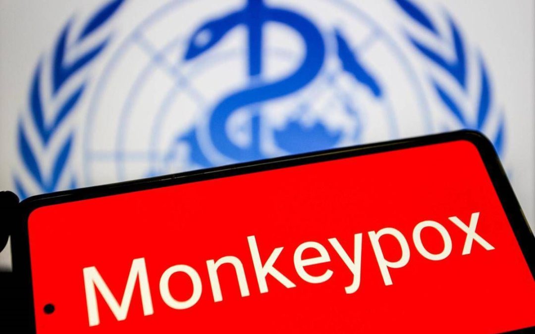 Vaiolo delle scimmie, Oms: “Mpox continua a circolare, a novembre 2.150 casi e 5 morti”