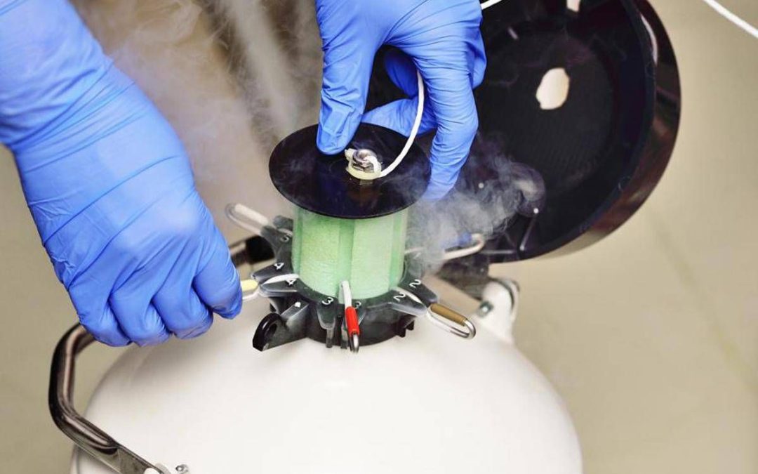 Cancro seno, 1 donna su 4 sceglie la crioconservazione degli ovociti