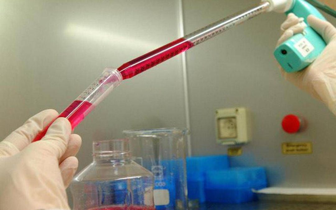 Genetista Novelli: “Noi fondamentali per dare identità a vittime Crans Montana”