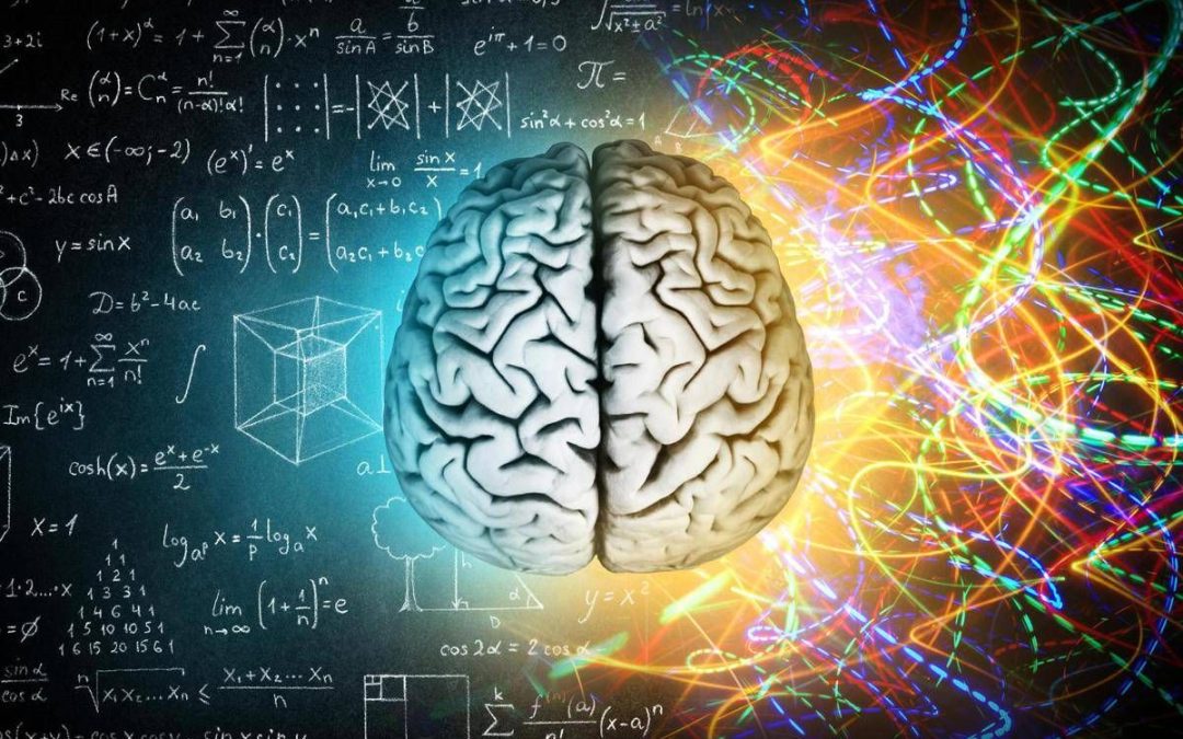 Milano, BrainSpace house per scoprire legame tra benessere di mente e cervello