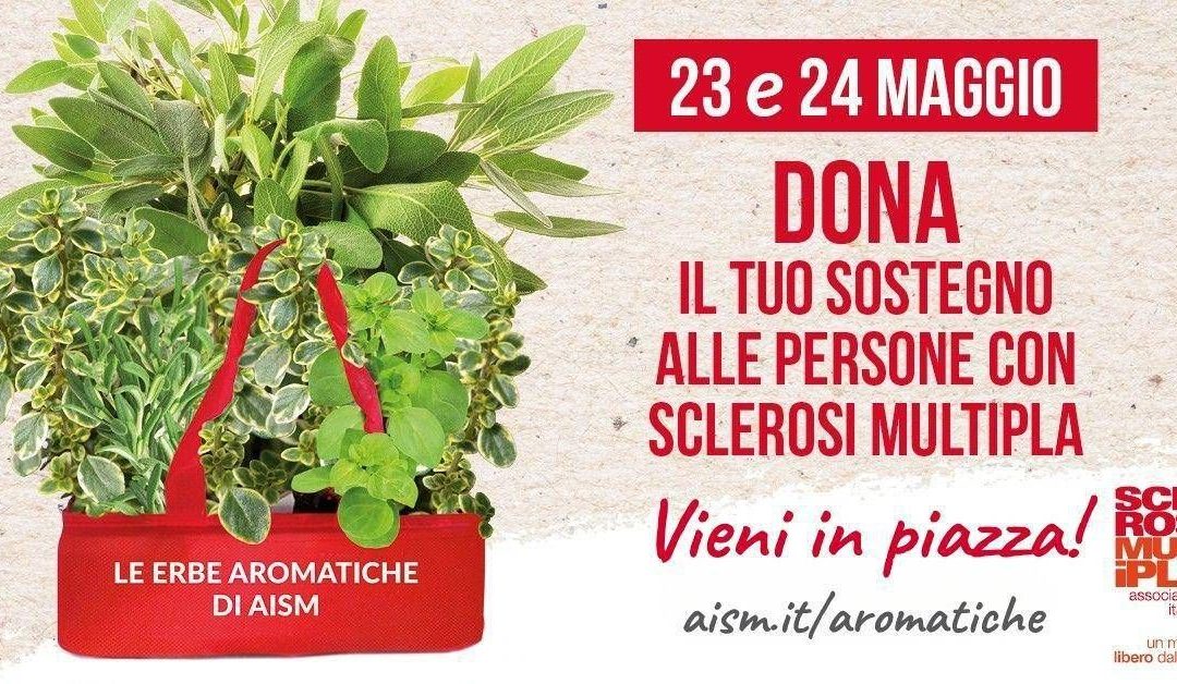 Settimana nazionale della sclerosi multipla, tornano le erbe aromatiche Aism in 500 piazze
