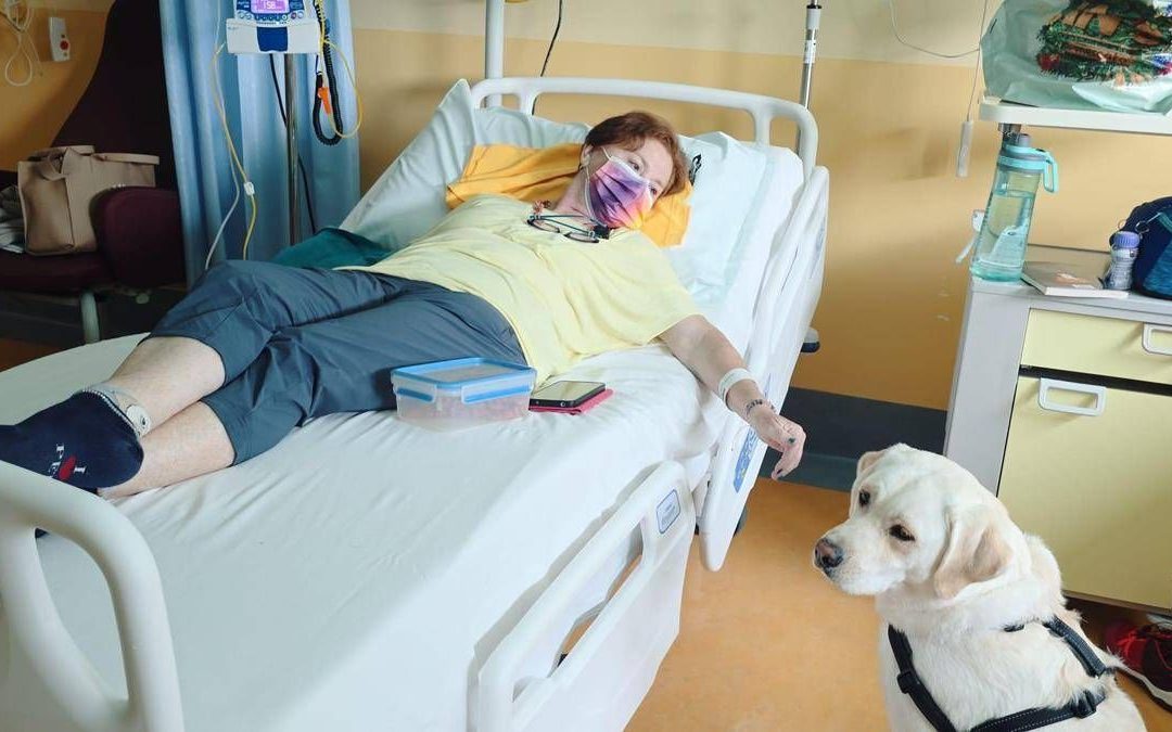 In Veneto prima chemio con cagnolina (Joy) al letto della paziente
